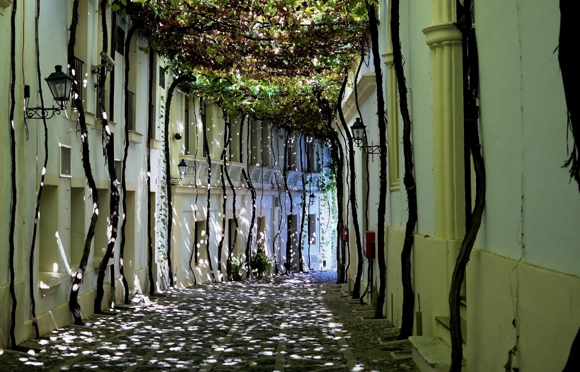 Culinary and cultural potpourri